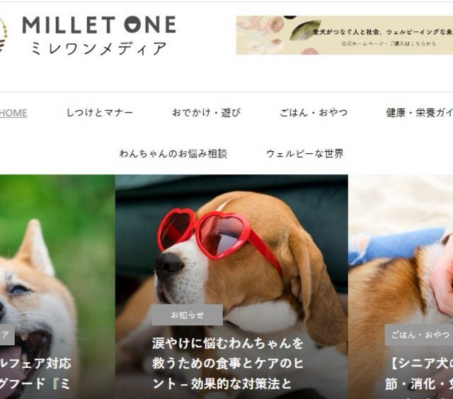 愛犬の健康・食事・暮らしをサポートする情報メディア 「ミレワンメディア」が完成！