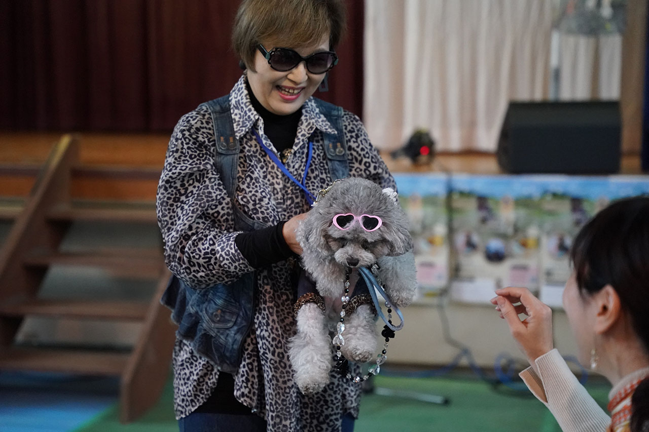 コーディネート部門