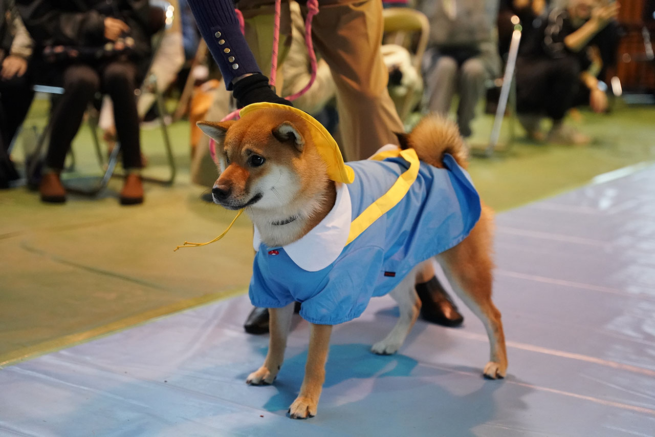 犬種パレード WON×LOVE 2025