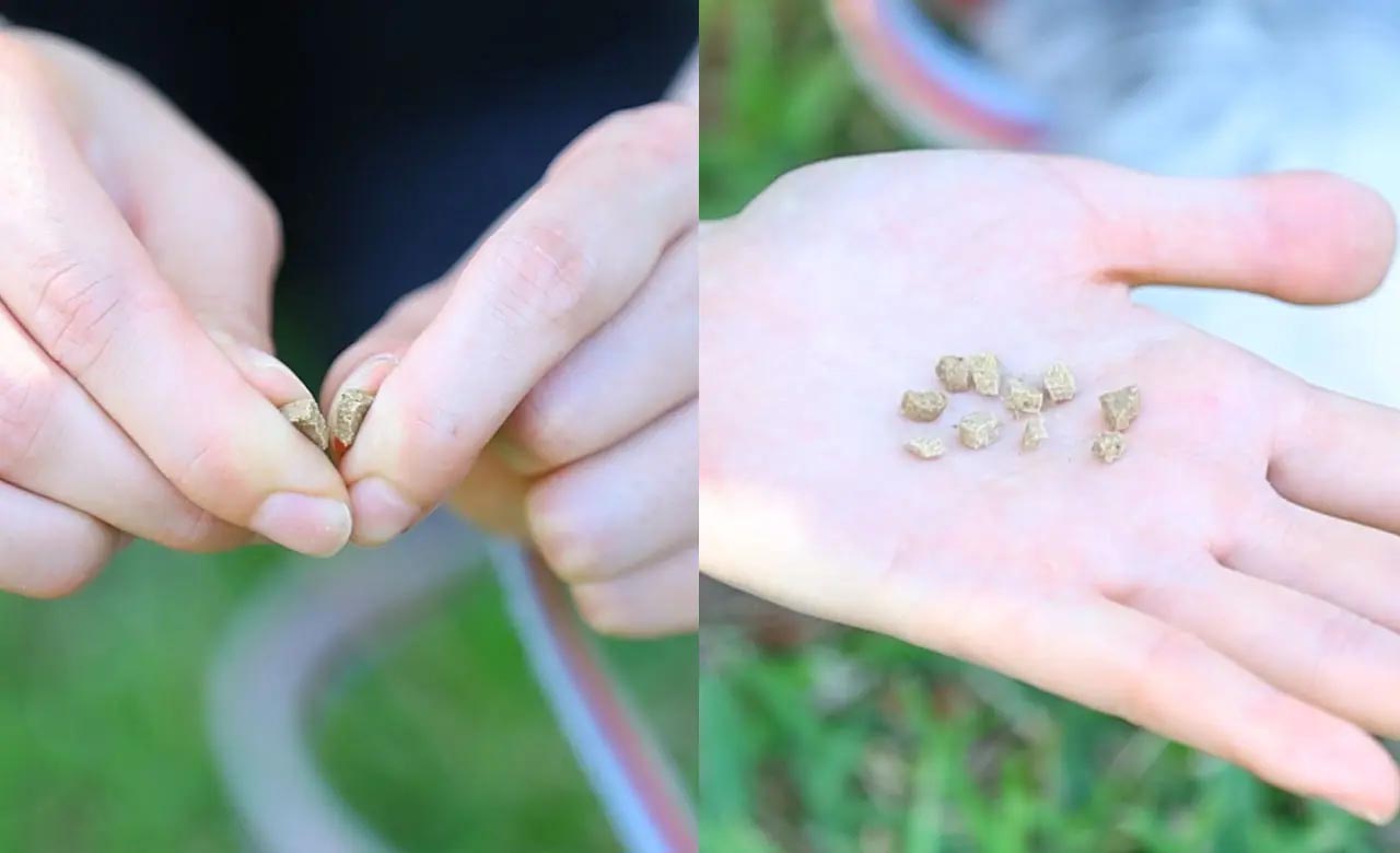 ４～８等分に割れるドッグフード