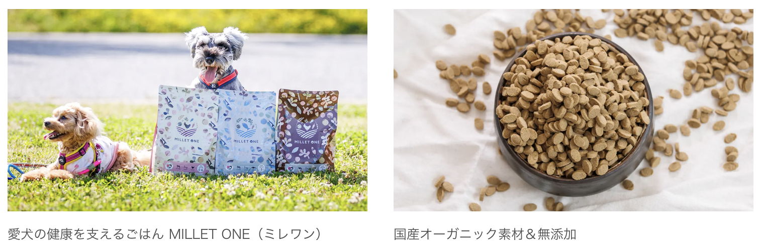 思想とブランドの進化