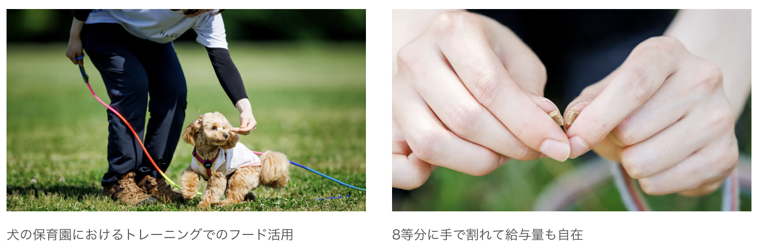 トレーニング現場で使われるフード