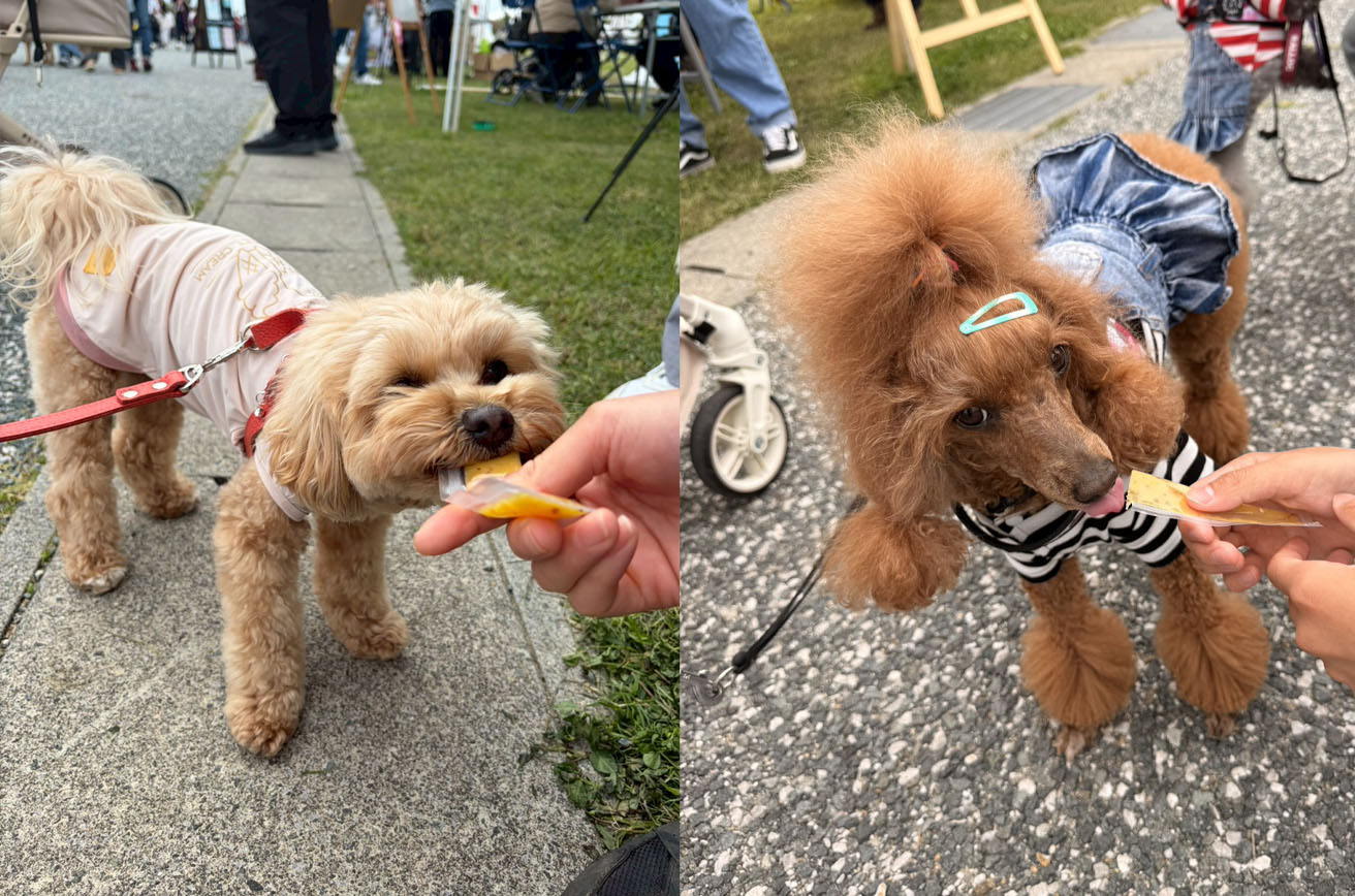 ミレワンポテト 試食の様子