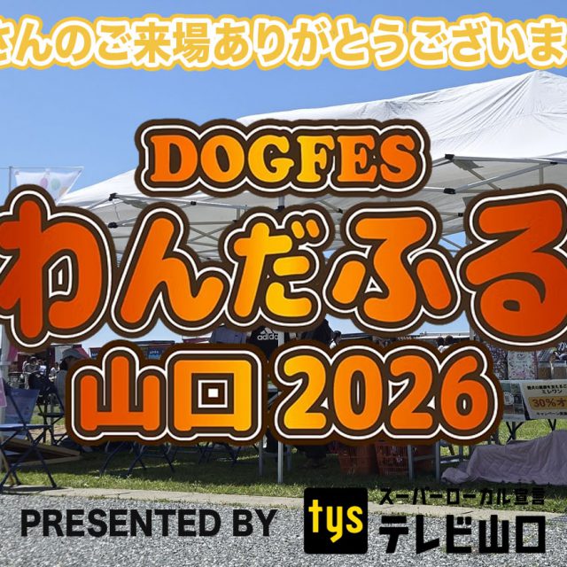 わんだふる山口2026に今年も出展